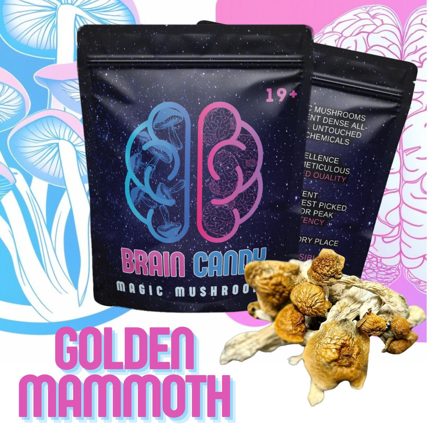 GOLDEN MAMMOTH
