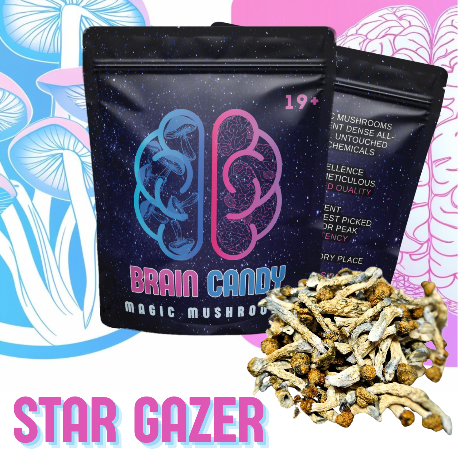 STAR GAZER