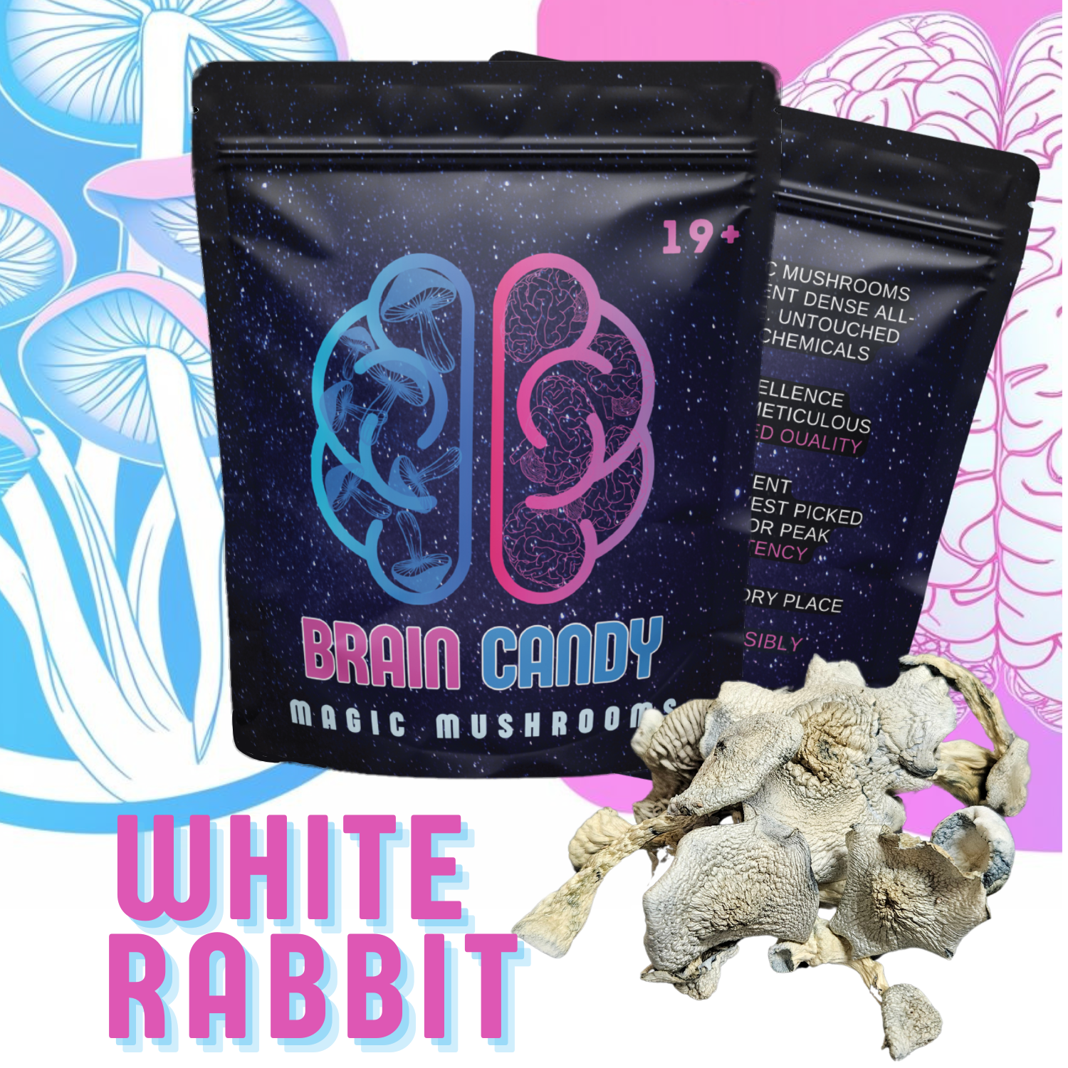 White rabbit