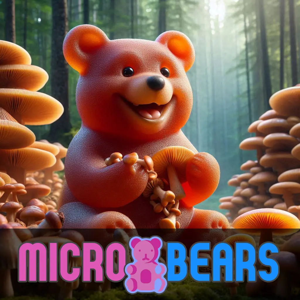 Micro Bears