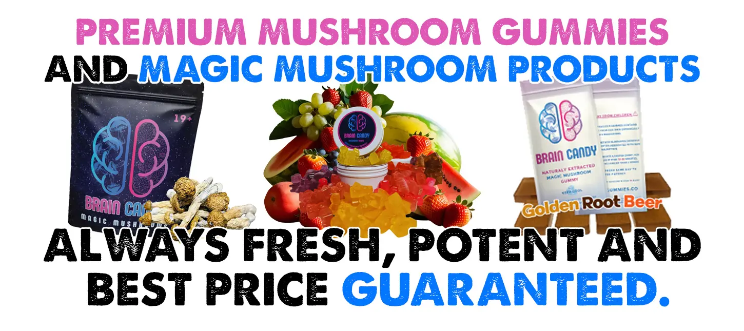 Buy The Best Magic Mushrooms & Mushroom Gummies Online In Canada | Order The Best Shrooms & Edibles Online | Brain Candy