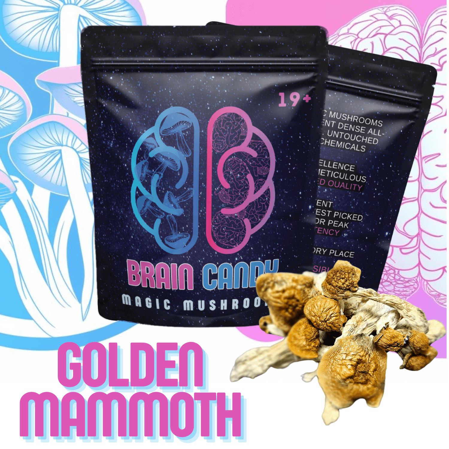 Golden Mammoth Raw Magic Mushrooms