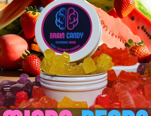 Introducing BC Micro Bears – The Ultimate Microdosing Experience!