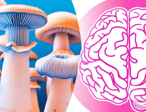 The Science Behind Mushrooms and Brain Health