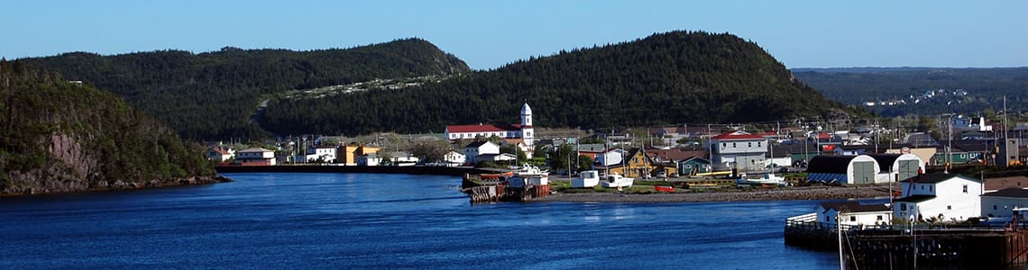 buy magic mushrooms online newfoundland buy magic mushrooms online newfoundland