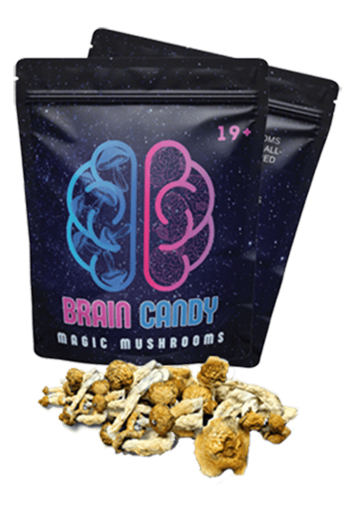 Raw Mushrooms